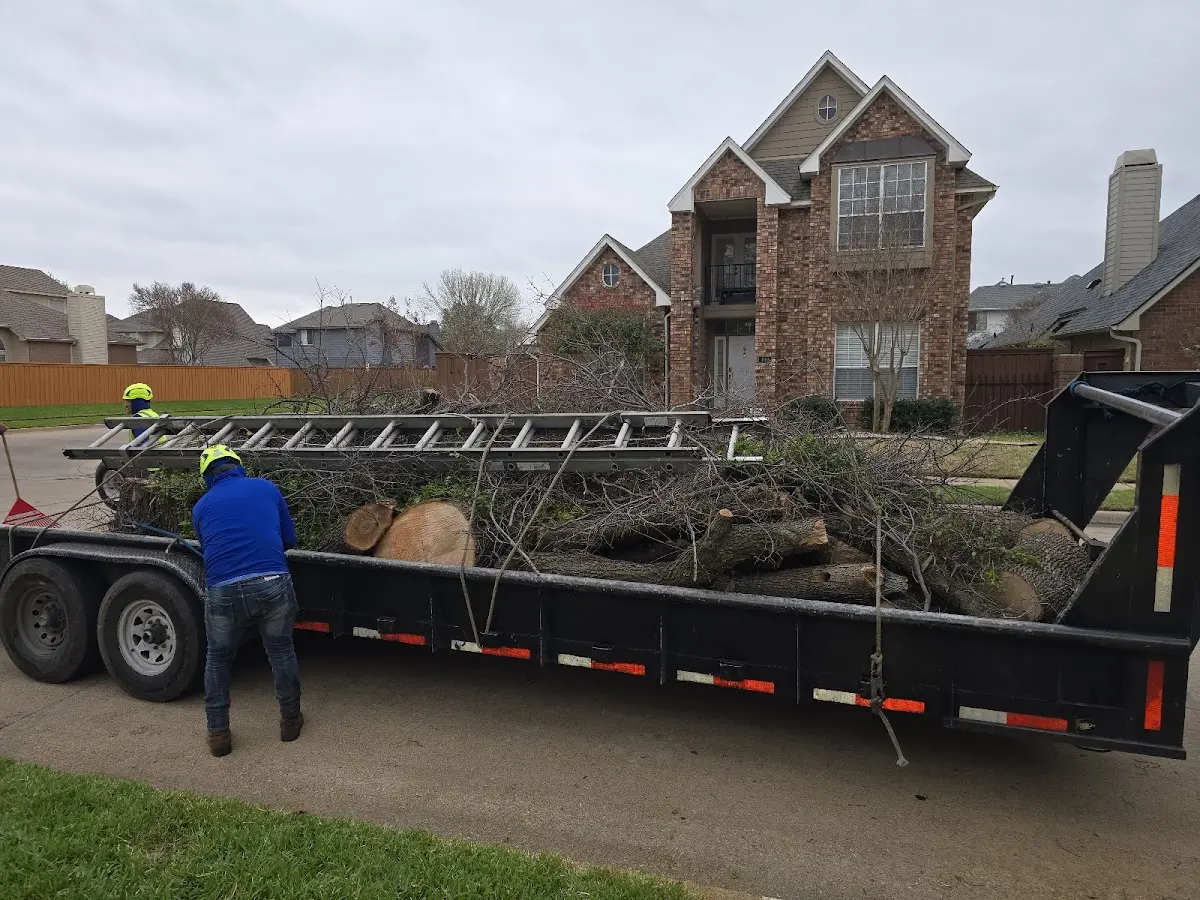 Expert Tree Fertilization with proper safety equipment in Halliday